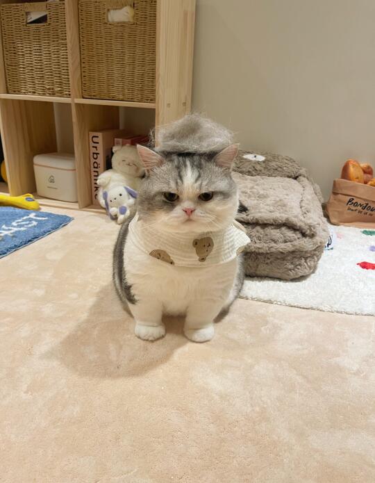 回家贴贴一下就这样