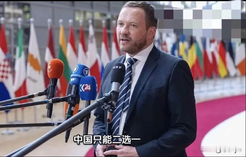 近日，爱沙尼亚外长查赫克纳说：俄罗斯和爱沙尼亚中国只能二选一，如果中国还想和我们