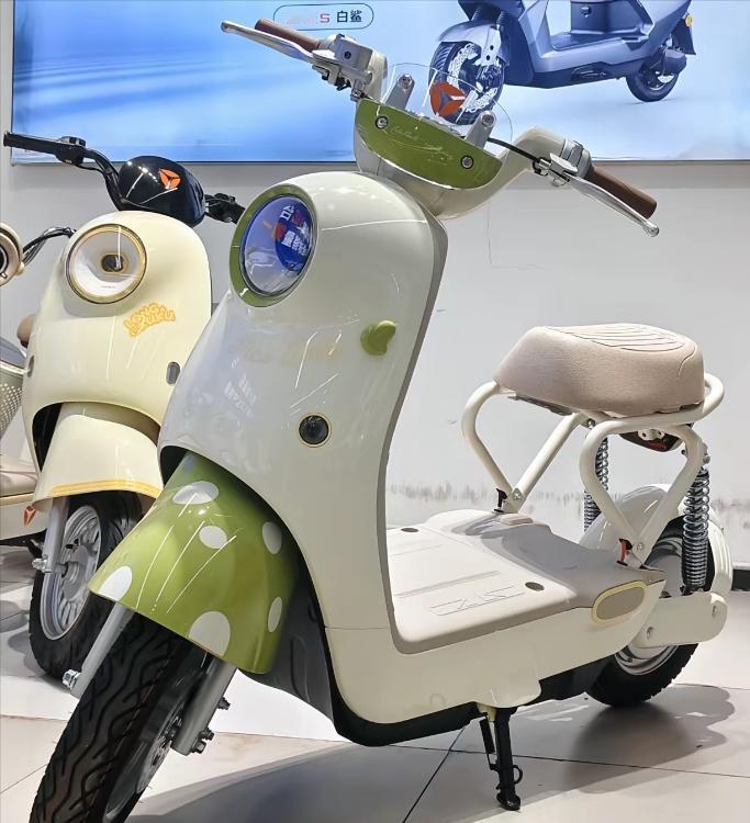 不要惊讶，这种没后座不能载人、没存储空间不能放充电器、时速25公里爬不上30度斜