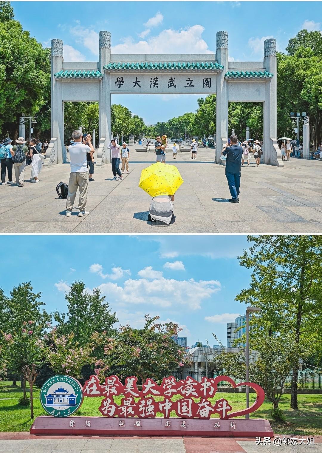 最近，武大被推上风口浪尖，网上骂声一片，看得人心里不是滋味。堂堂百年名校，咋就成