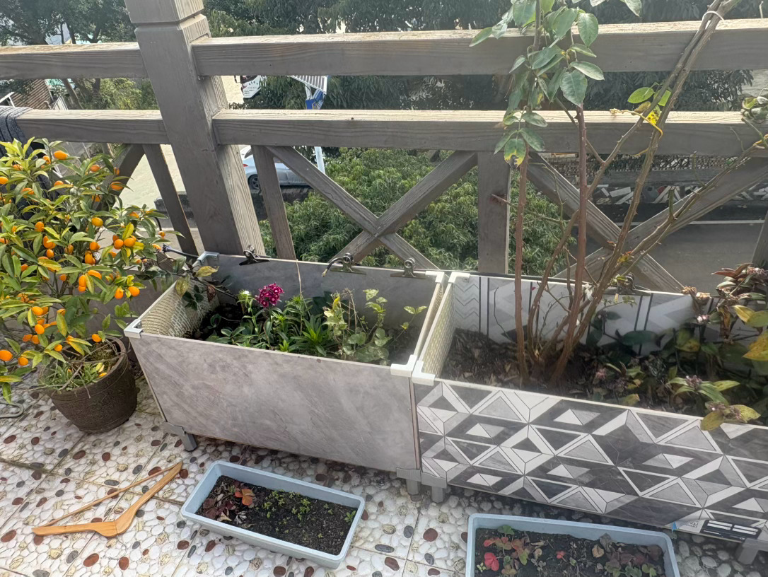 江秋灬 花花草草 