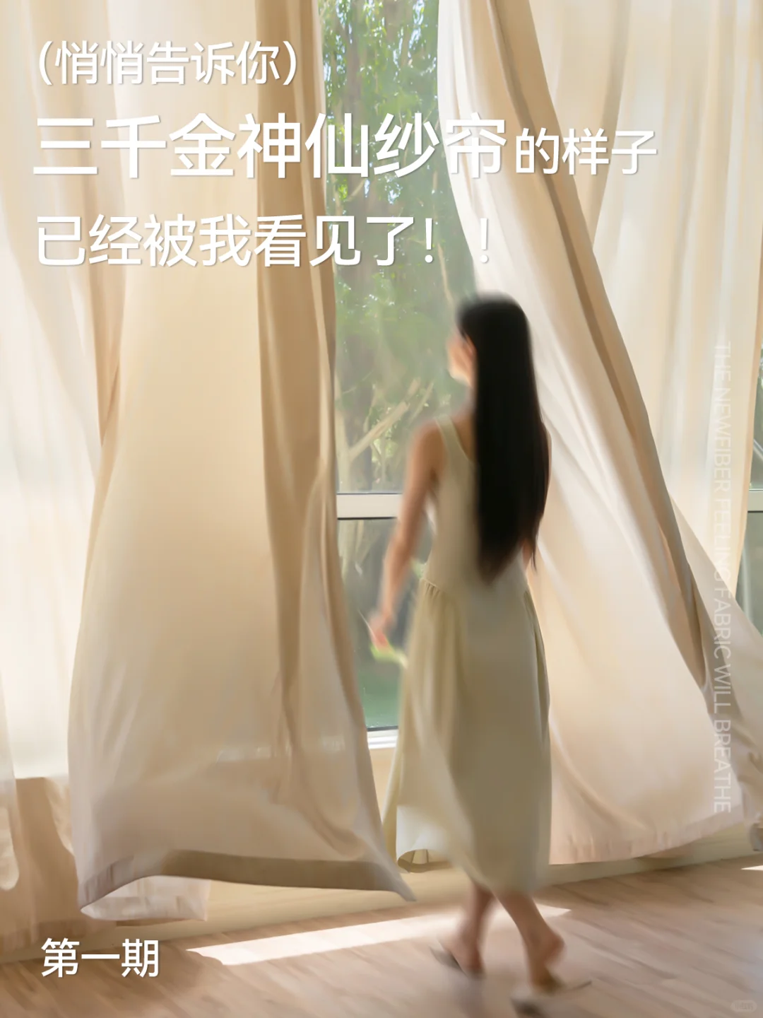 三千金纱帘又上新啦！全新款式别错过！！