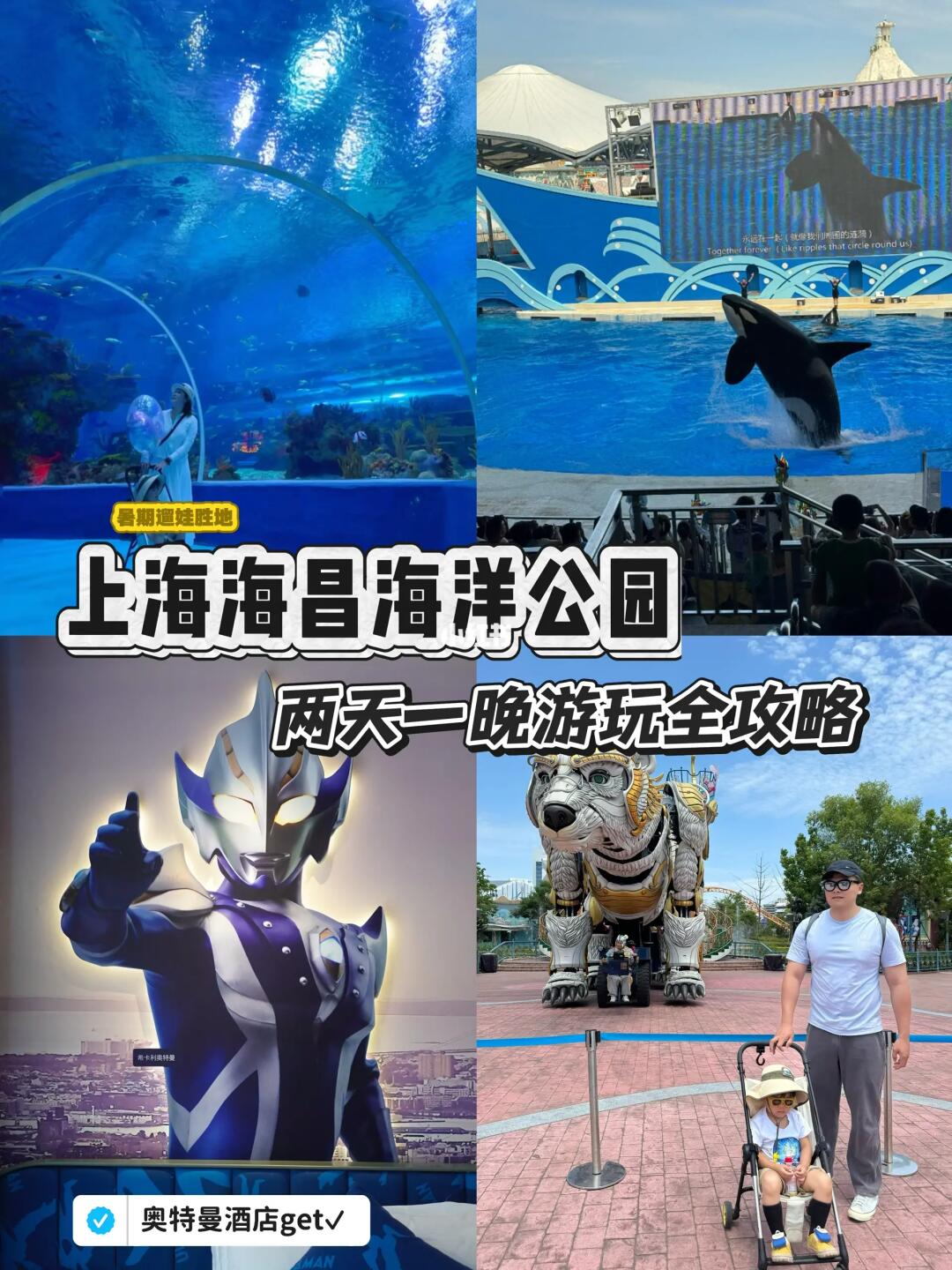 暑期遛娃锁死这篇！上海海昌 2 天 1 夜深度