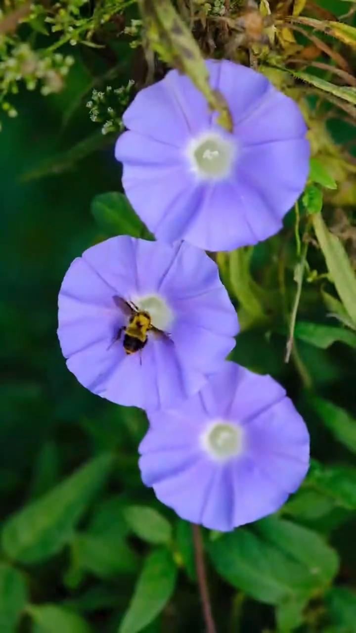 人生如茶，沉时坦然，浮时淡然。
当你看清一个人而不揭穿，你就懂得了"格局"的意义