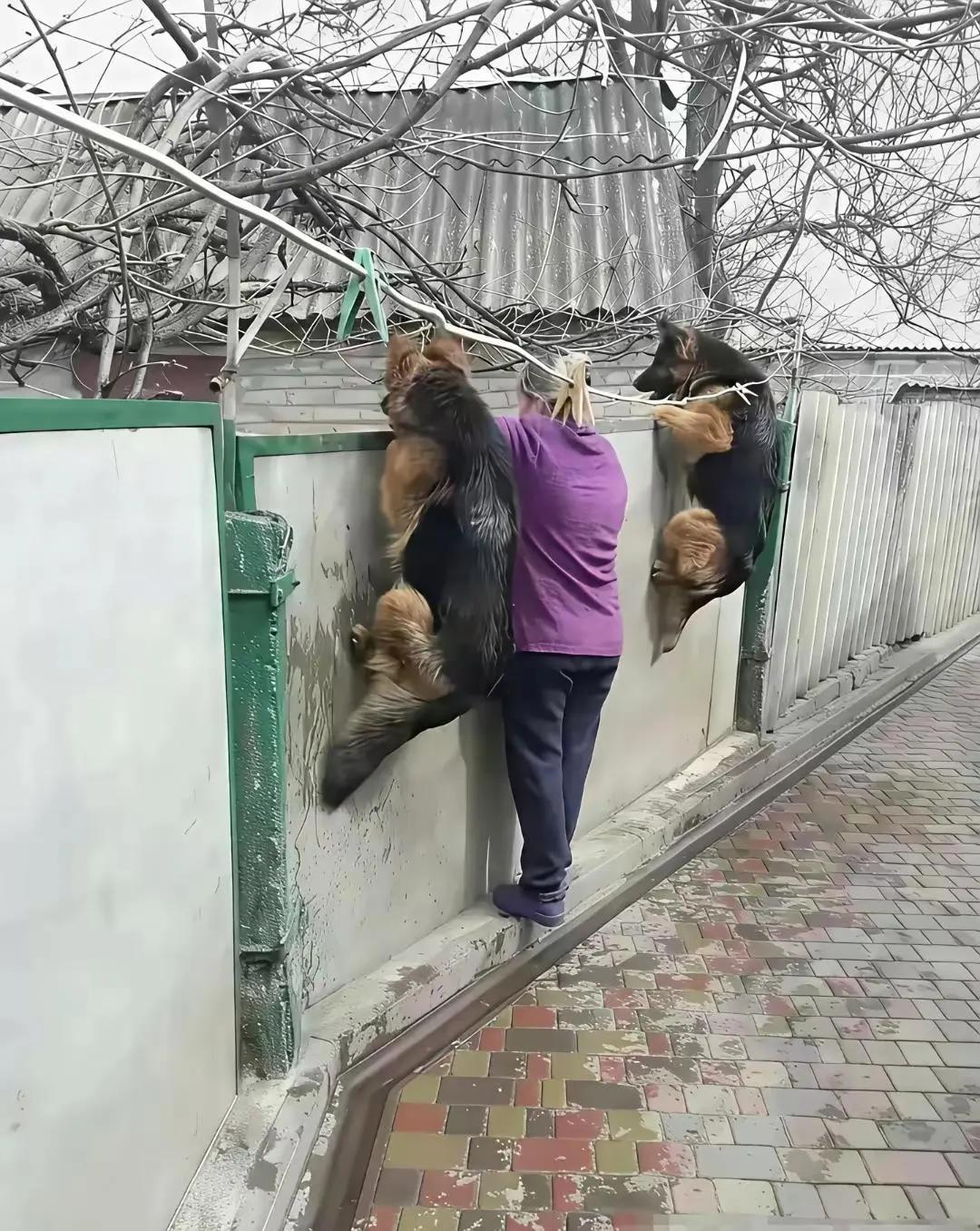 爱吃瓜的群众[笑哭]