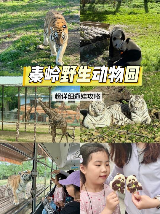 秦岭野生动物园！！不费妈攻略来啦！！
