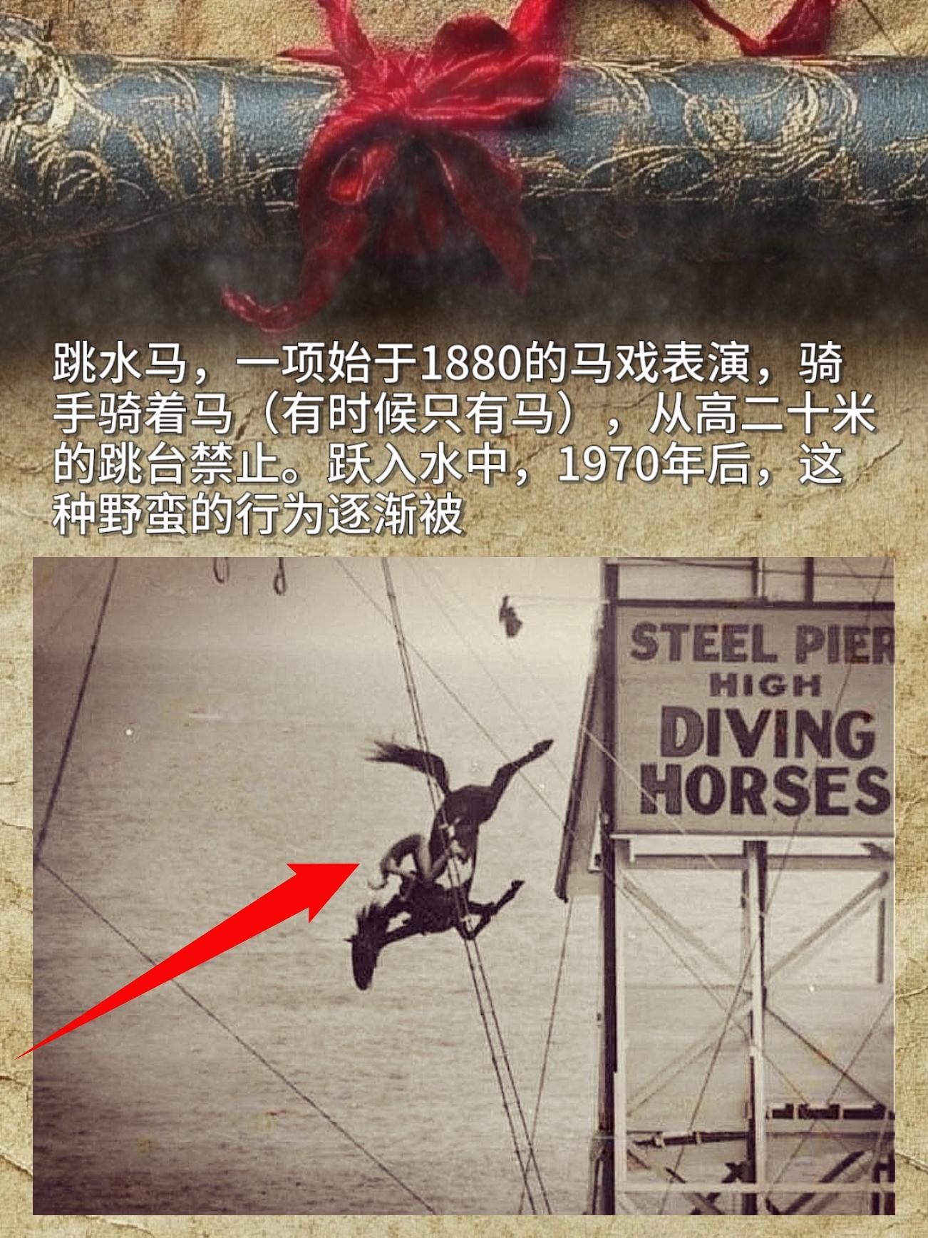 跳水马，一项始于1880的马戏表演，骑手骑着马（有时候只有马），从高二...