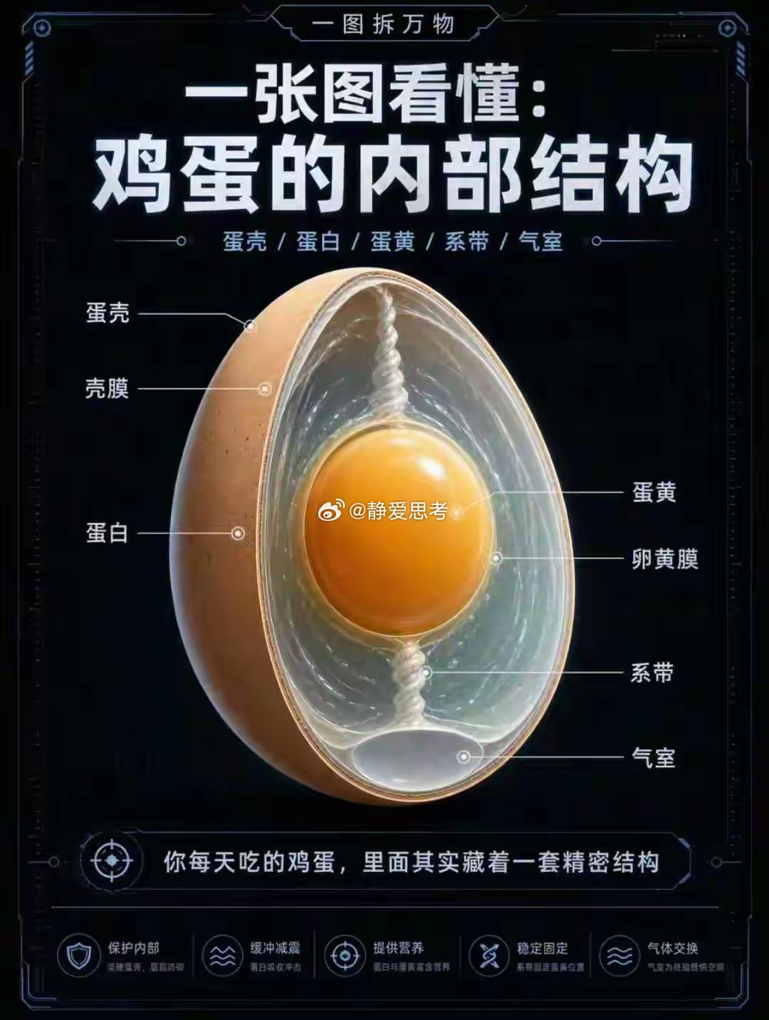 蛋 