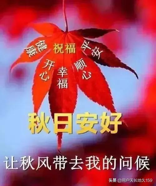秋日问候送吉祥，
生活幸福乐无边；
吉祥好运永相伴，
健康快乐笑开颜。