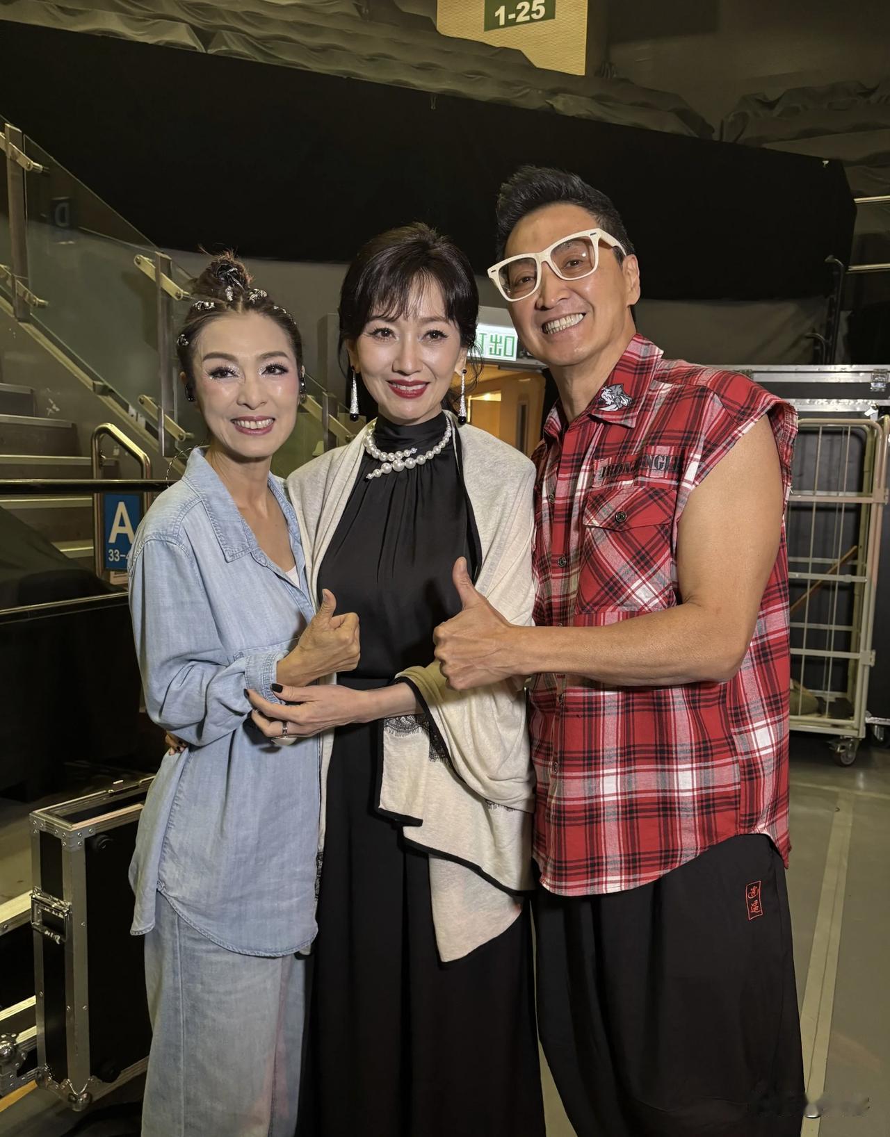 米雪入行55周年演唱会，何家劲，赵雅芝，罗乐林、黄日华 、黎耀祥，还有米雪的妹妹