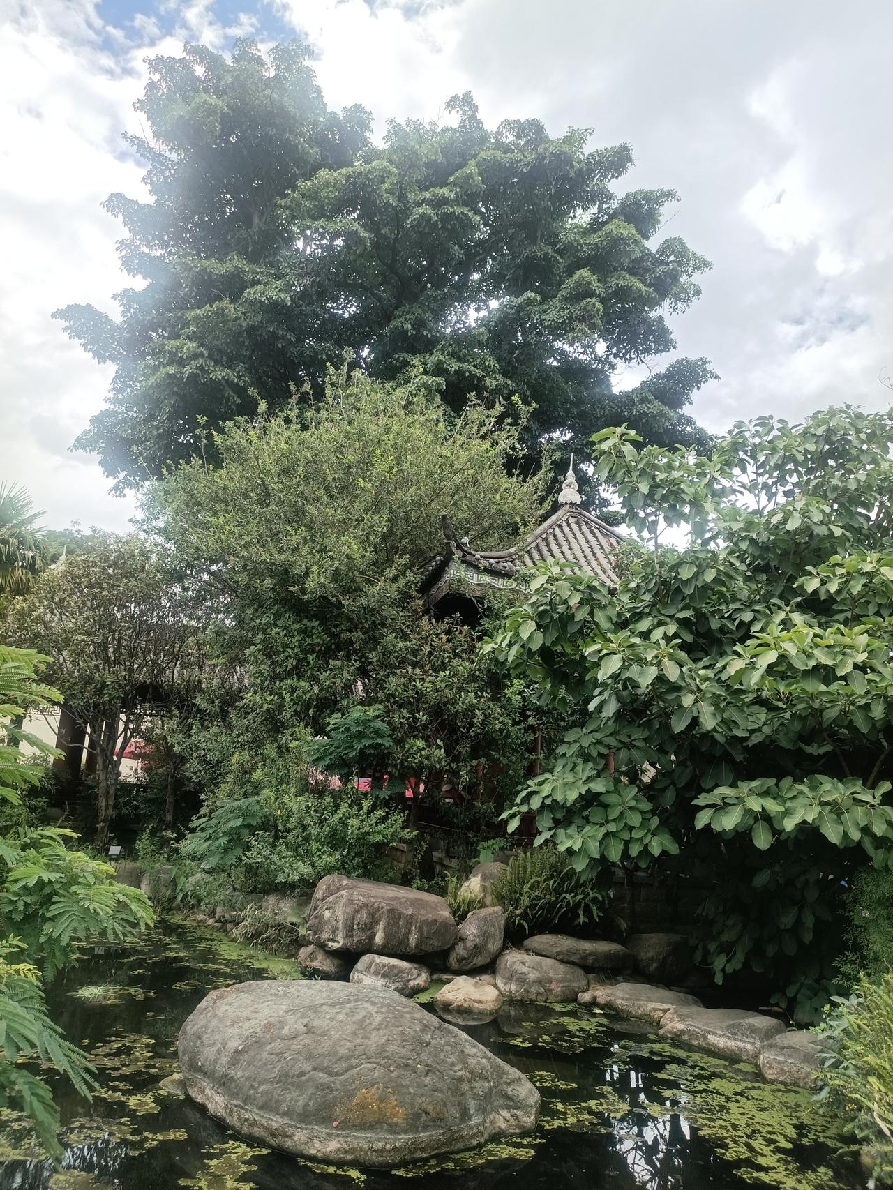 喜洲古镇随手拍