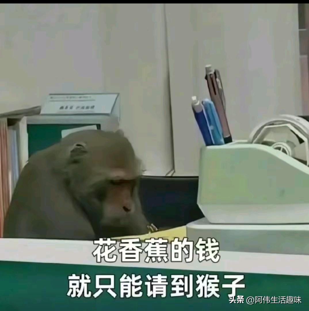 公司聚餐之后 
管理层的领导吐槽
说现在的年轻人在餐桌上只顾着吃不懂敬酒了

听