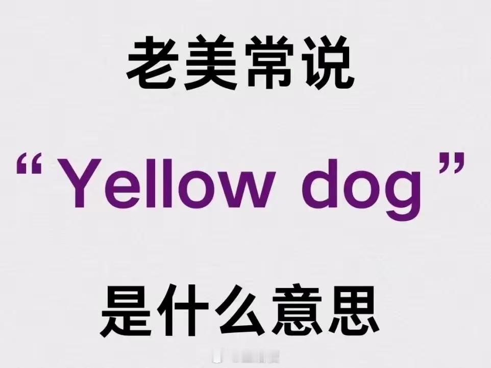 老外常说的: yellow dog 是什么意思？ ​​​