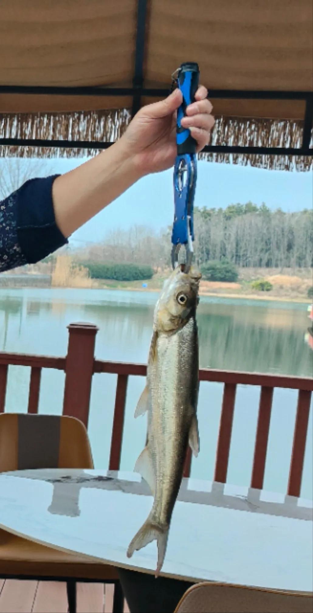 春日生活打卡季春节农家乐有所收获，开心