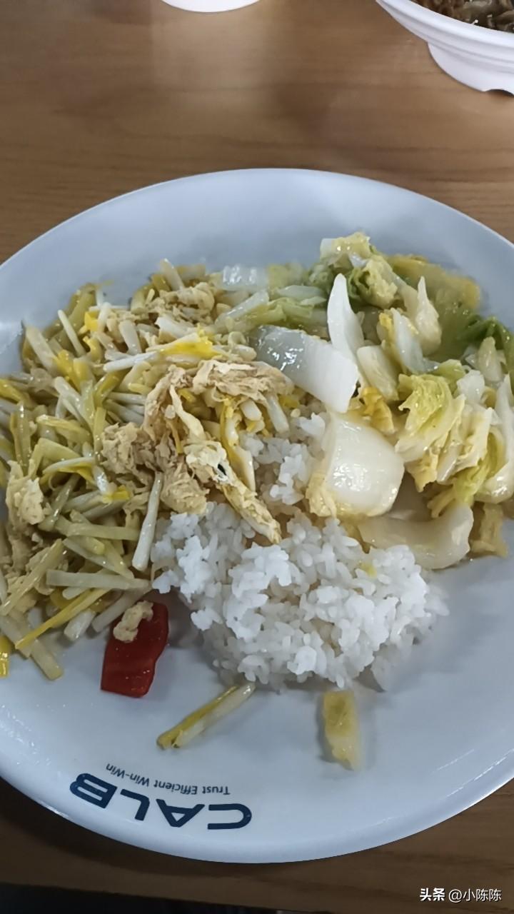 这是近一个月以来每天在单位食堂吃的午饭，顿顿都是素菜。为什么吃素菜，因为今年偶然