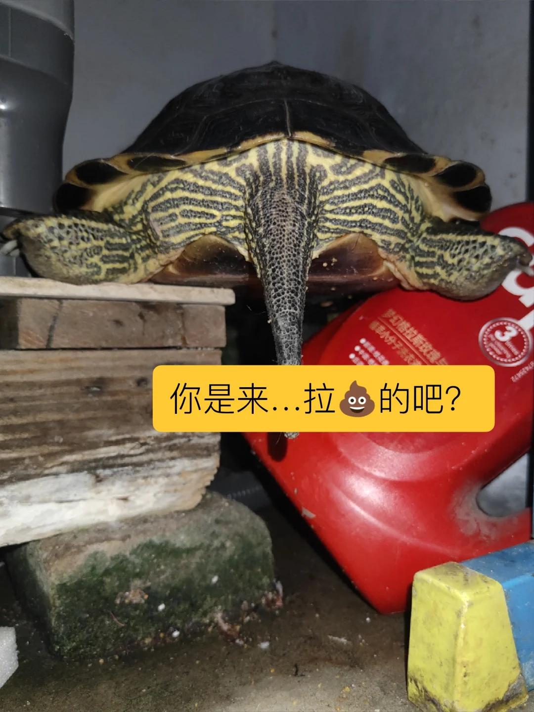 😳就就就 非得选这个位置吗？
