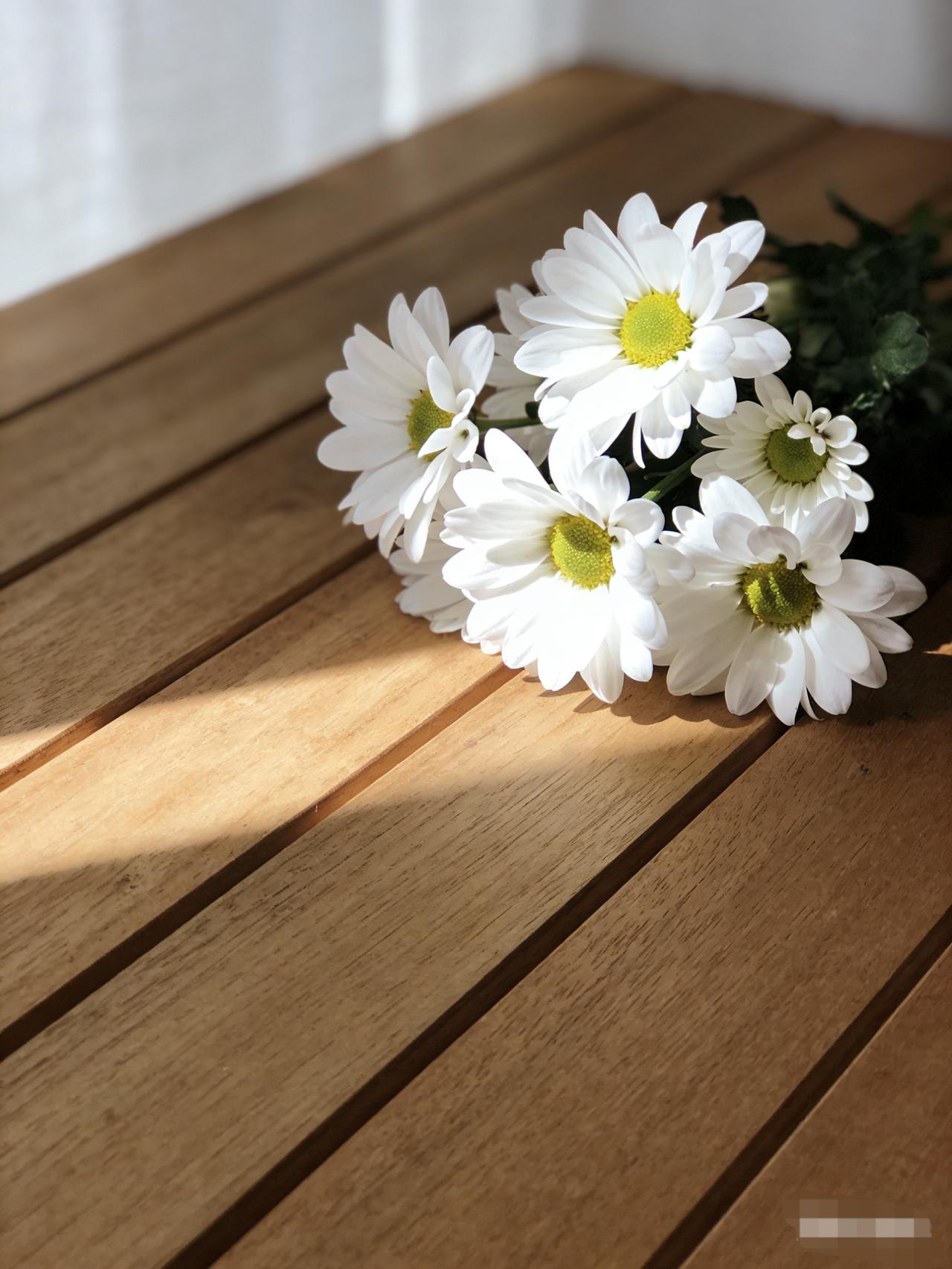 多少女人活在“被牺牲”的剧本里，为了家人周全，藏起自己的委屈；为了身边人的安稳，