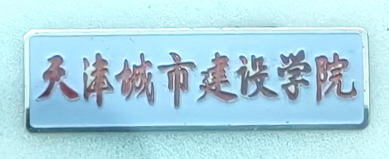 去外省上大学是什么体验.带孩子去天津城市建设学院（现天津城建大学）报道，一下高铁