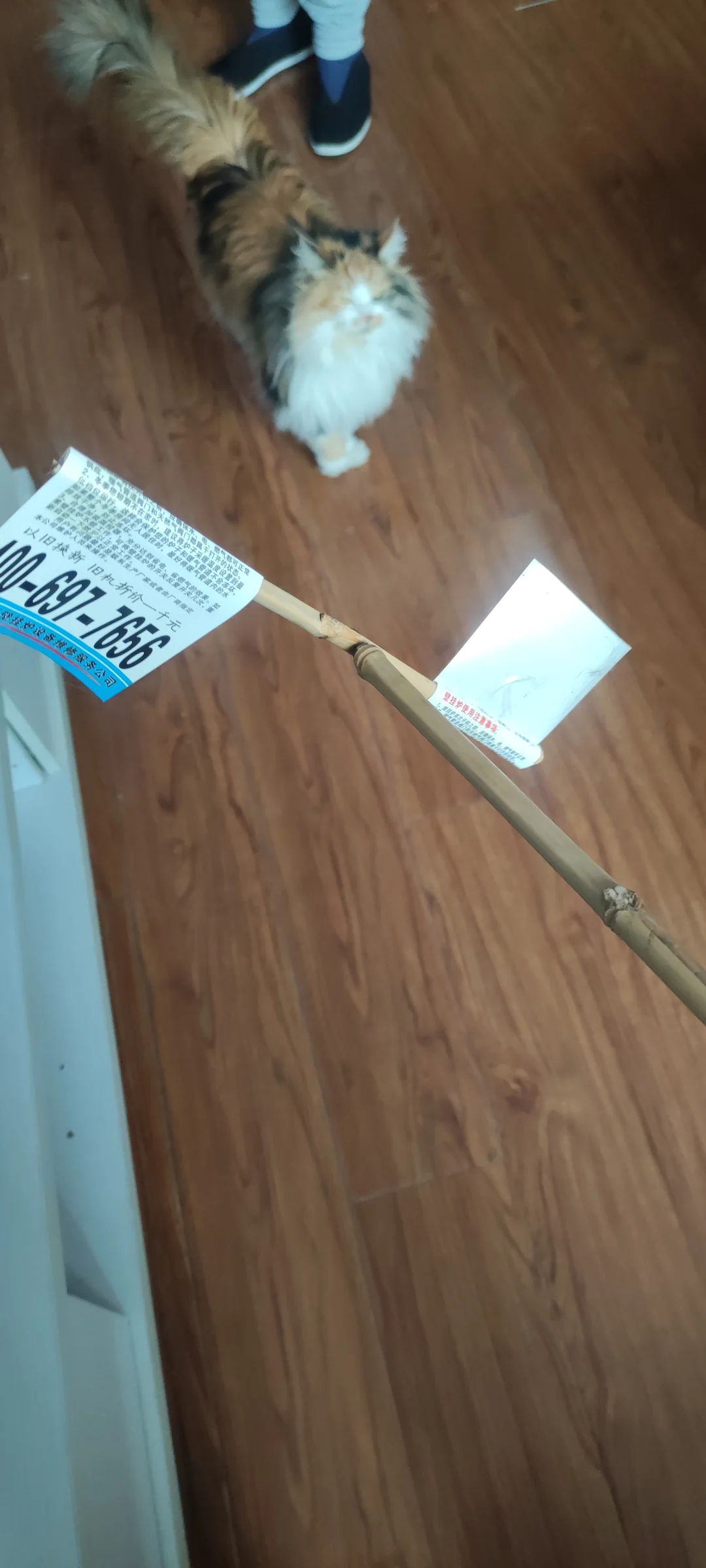 放松的退休老人生活😂