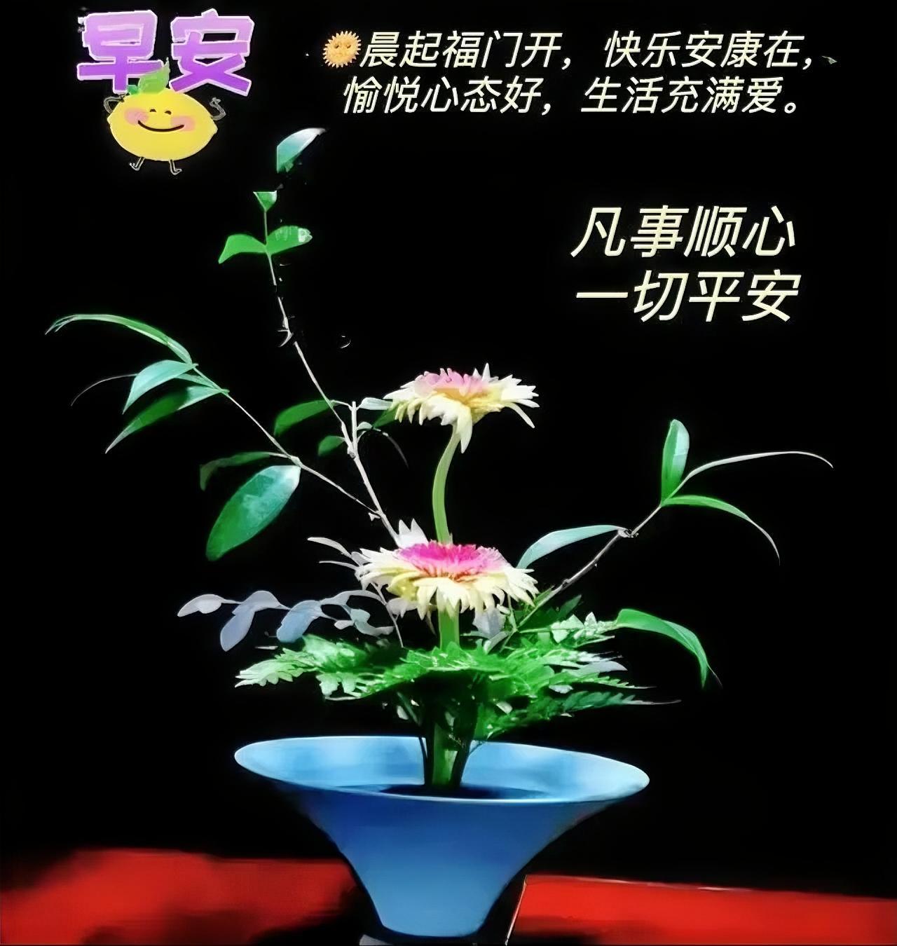 早安！蓝盆插花静悄悄，晨起福门开，愿你诸事顺遂，平安喜乐每一天。
作者加速成长计