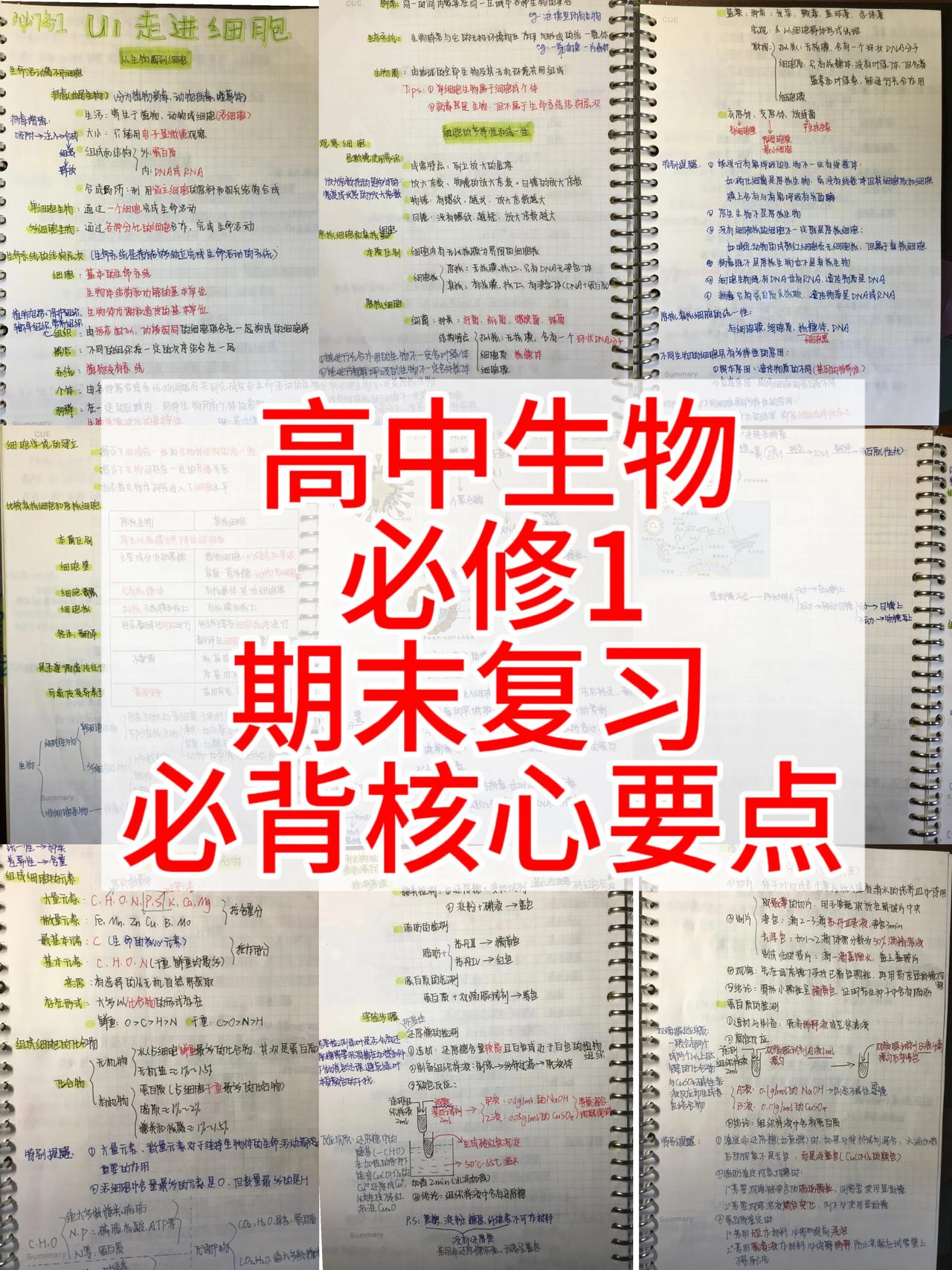 高中生物必修一，按照不同省份，版本，高考大纲编写的各单元必背重点，全是平时考试中