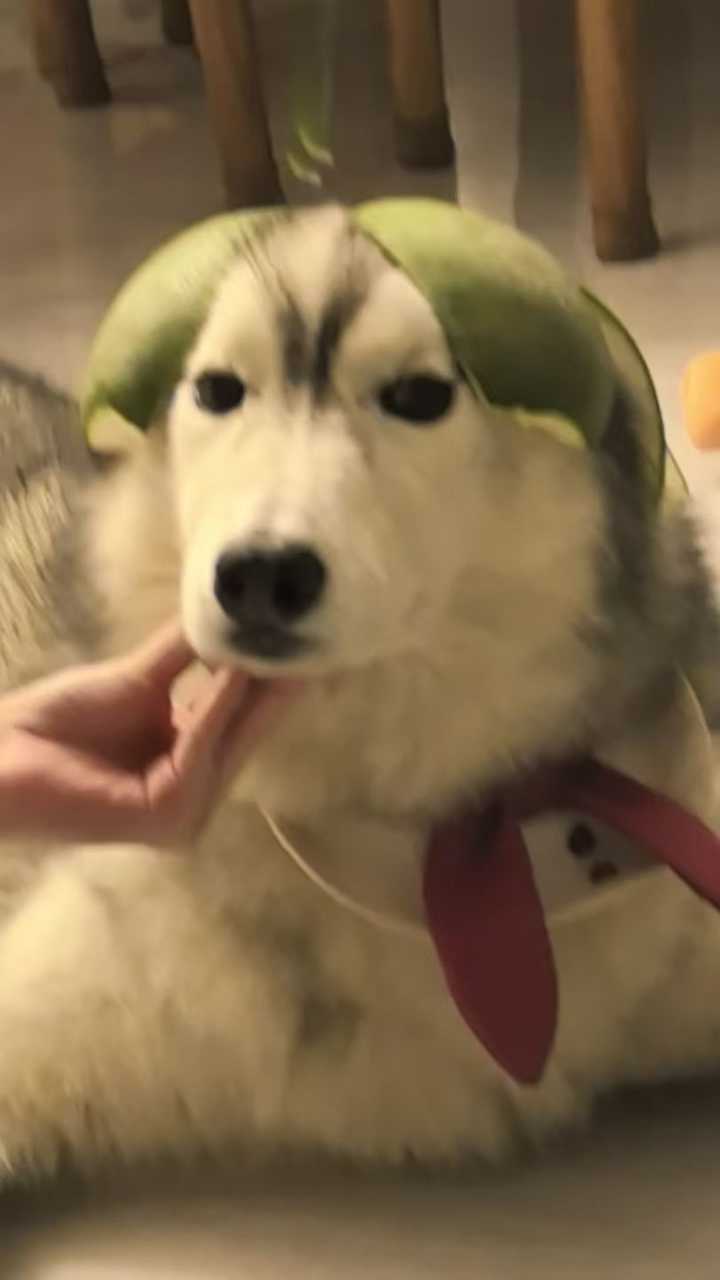 怎么样 ​​​