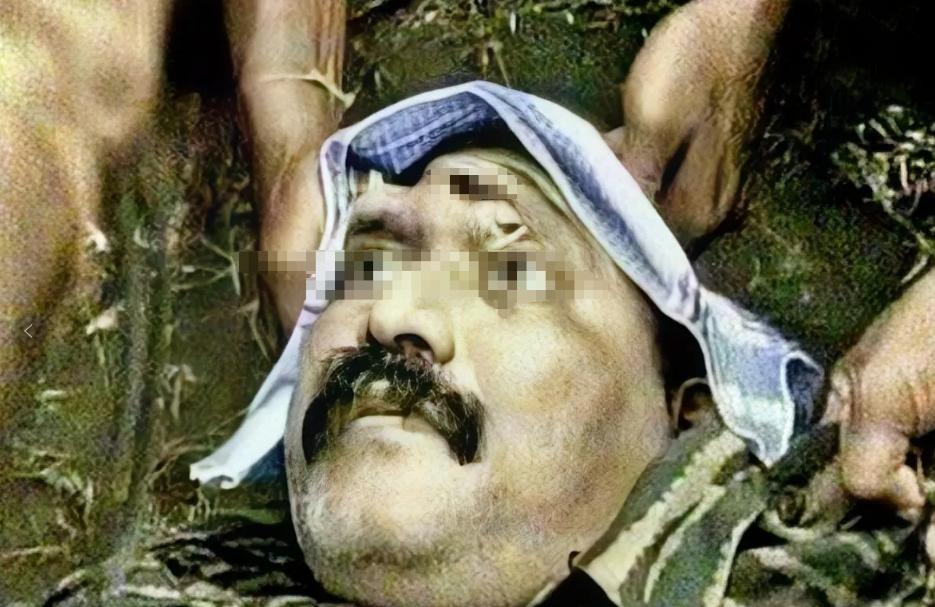 这是2009年，恐怖头目普拉巴卡兰被击毙后的一张照片，镜头中他死不瞑目，眼睛睁得