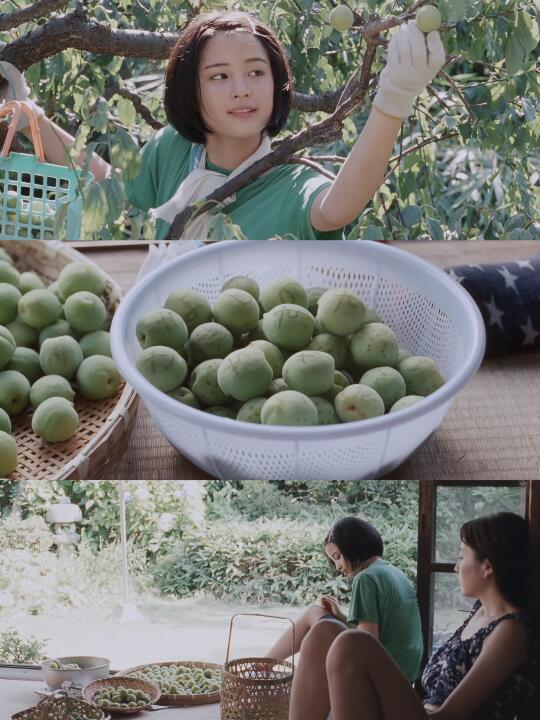 内心多么温柔的人，才能做出这么治愈的电影