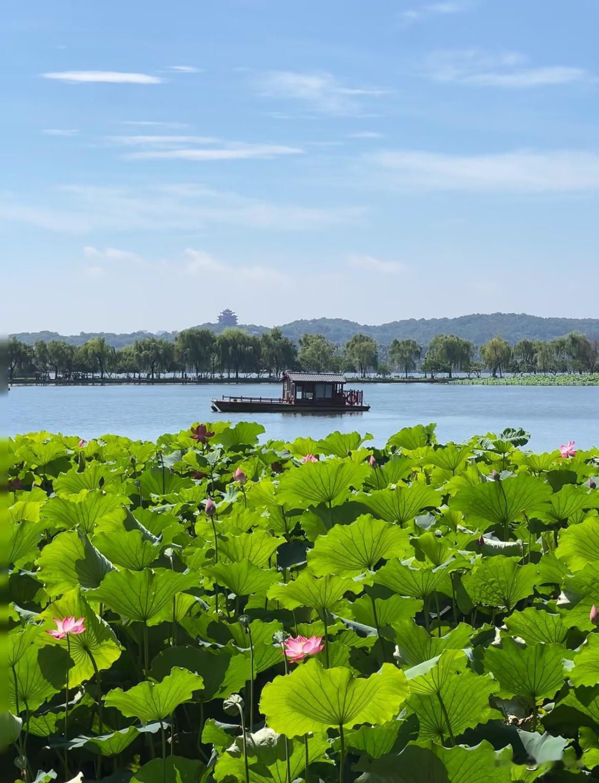 大家有没有发现？
很多老年人到了夏天都有个通病——不在家呆着。

我公公72岁，