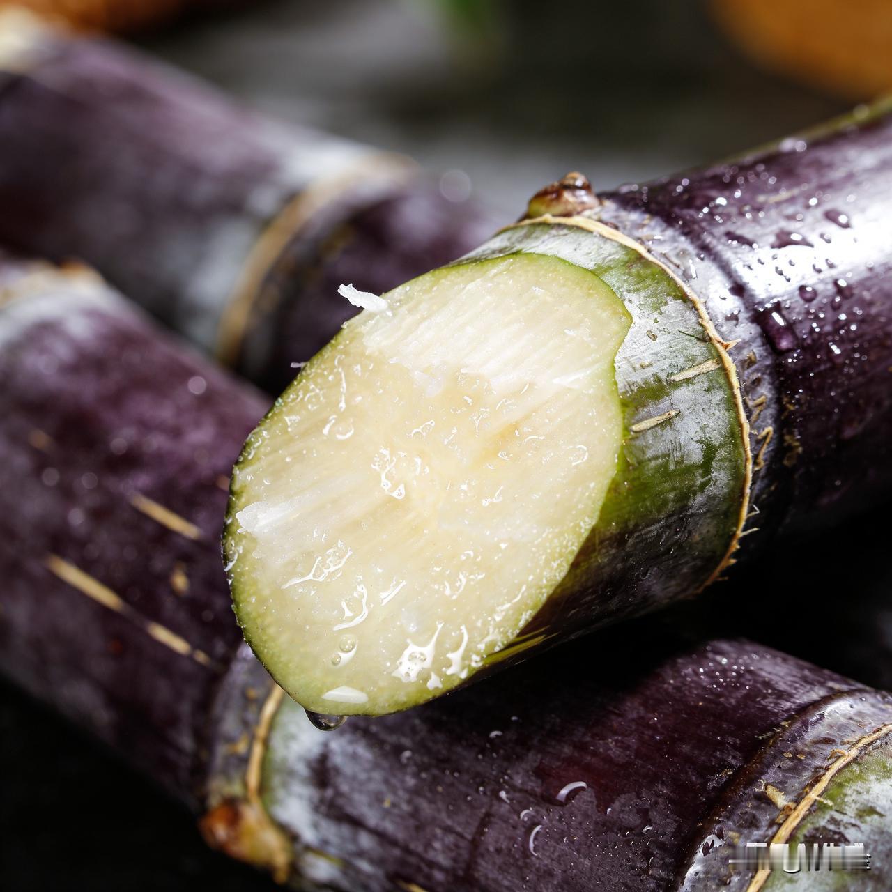 早晨适量饮用甘蔗汁对人体有诸多益处。
补充水分和能量
经过一夜睡眠，身体水分流失