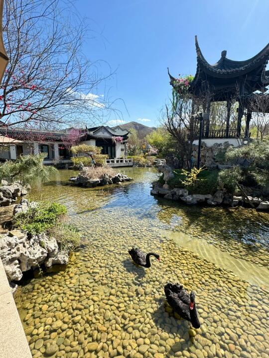 石家庄踏青｜鹿泉绝美春光小院