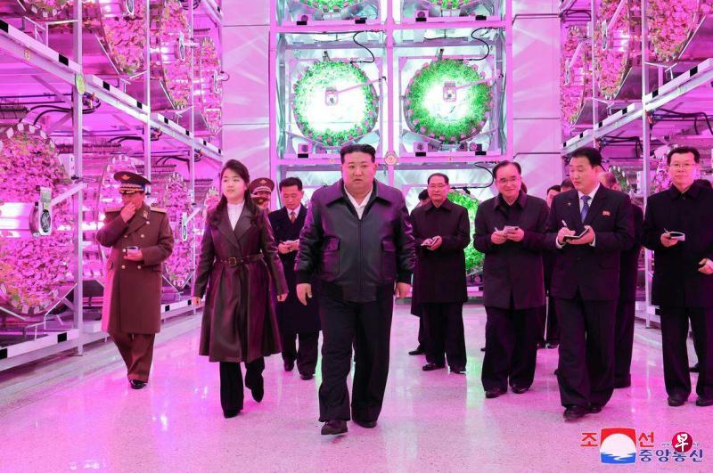 朝鲜官媒尊称金正恩女儿：伟大的向导者！继承人身份或日渐明确。（转载《联合早报》）
