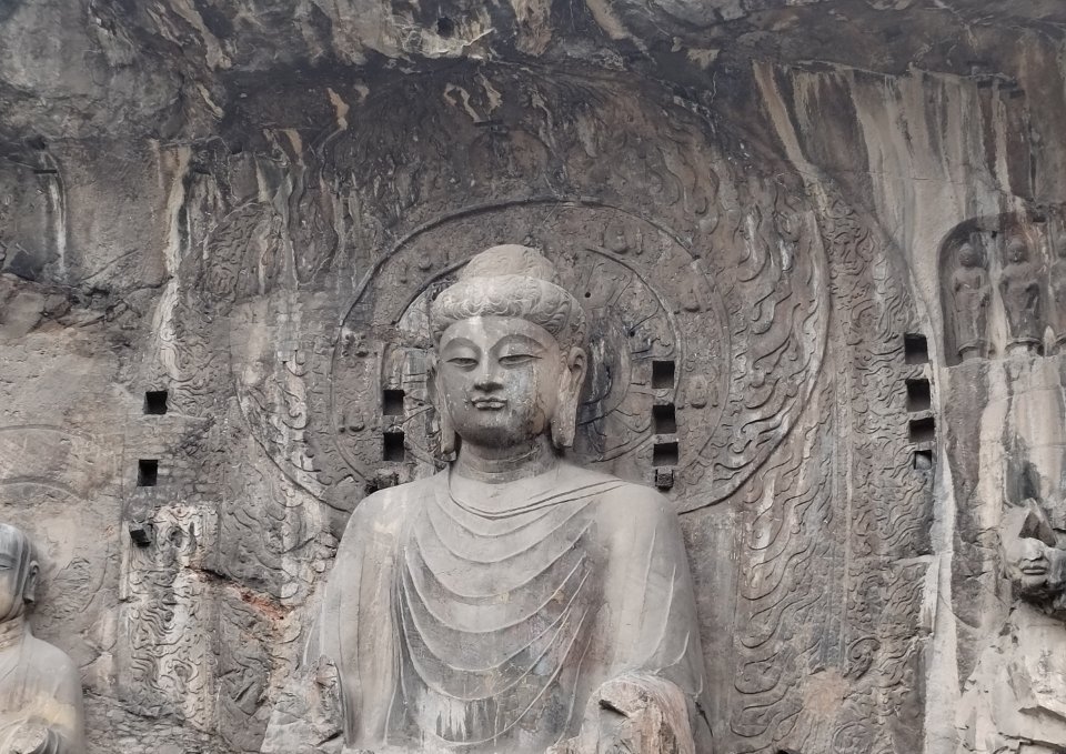 今天去龙门石窟没有特意看花花，但是见到了好多景区特派员哈基咪！看来下次去了要带猫