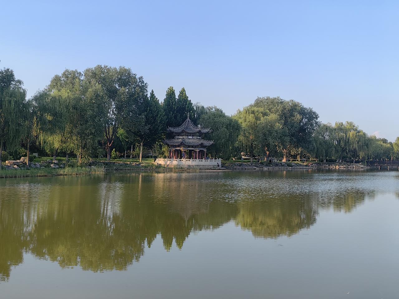 分享一张最近随手拍的照片