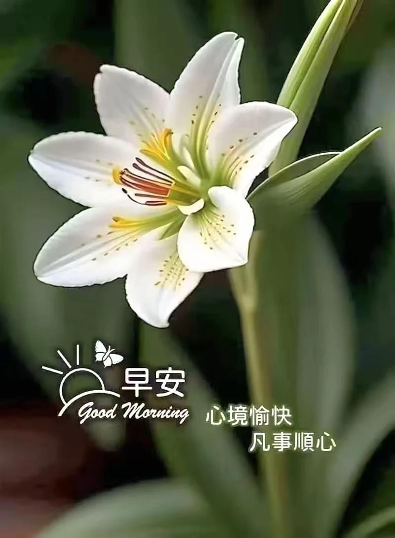 我姑姑家，五年前娶了一个貌若天仙的独生女，女孩唯一的优点就是乖巧温顺，缺点就是啥