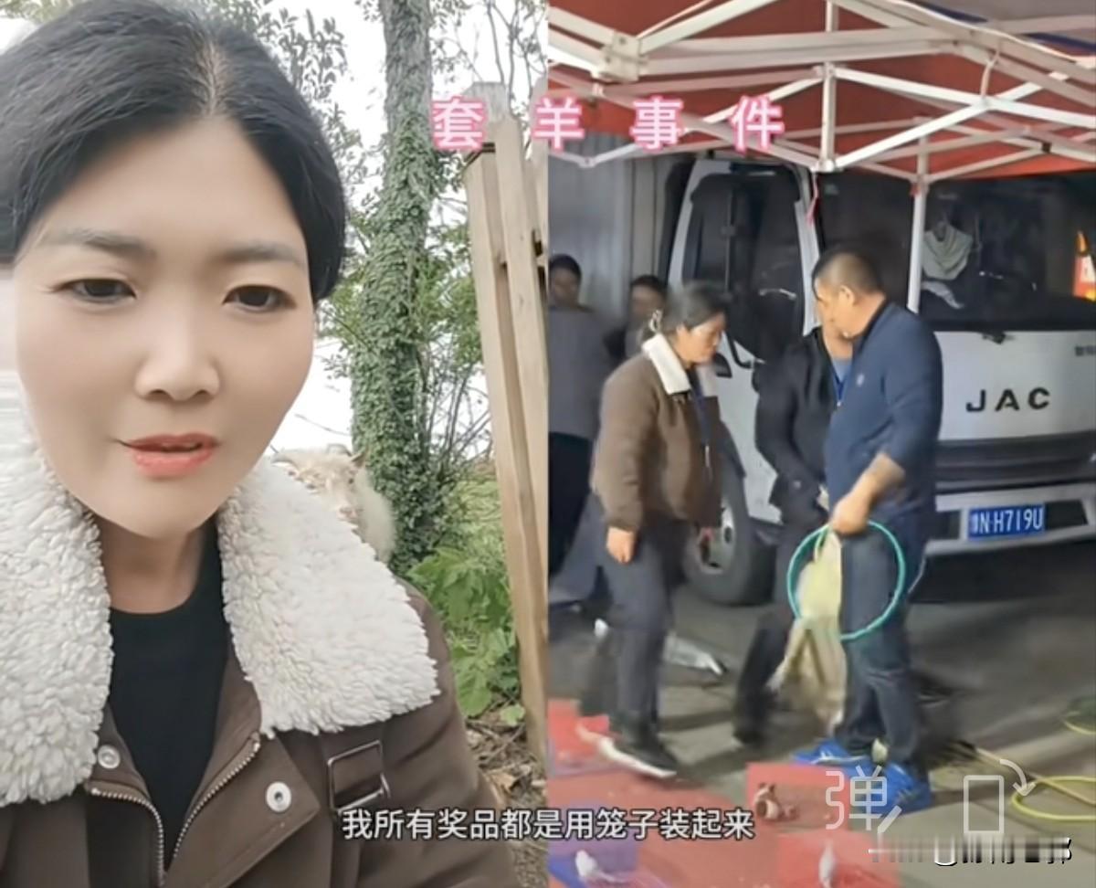 庙会上套圈套到羊引起了争议，商家不愿意兑现的真实原因，这次老板娘发视频进行了回复