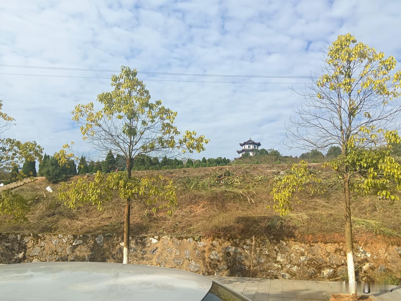 今天出门偶然抬眼，

一下就被这画面勾住了——秋末的天像揉碎了的棉花糖，软乎乎铺