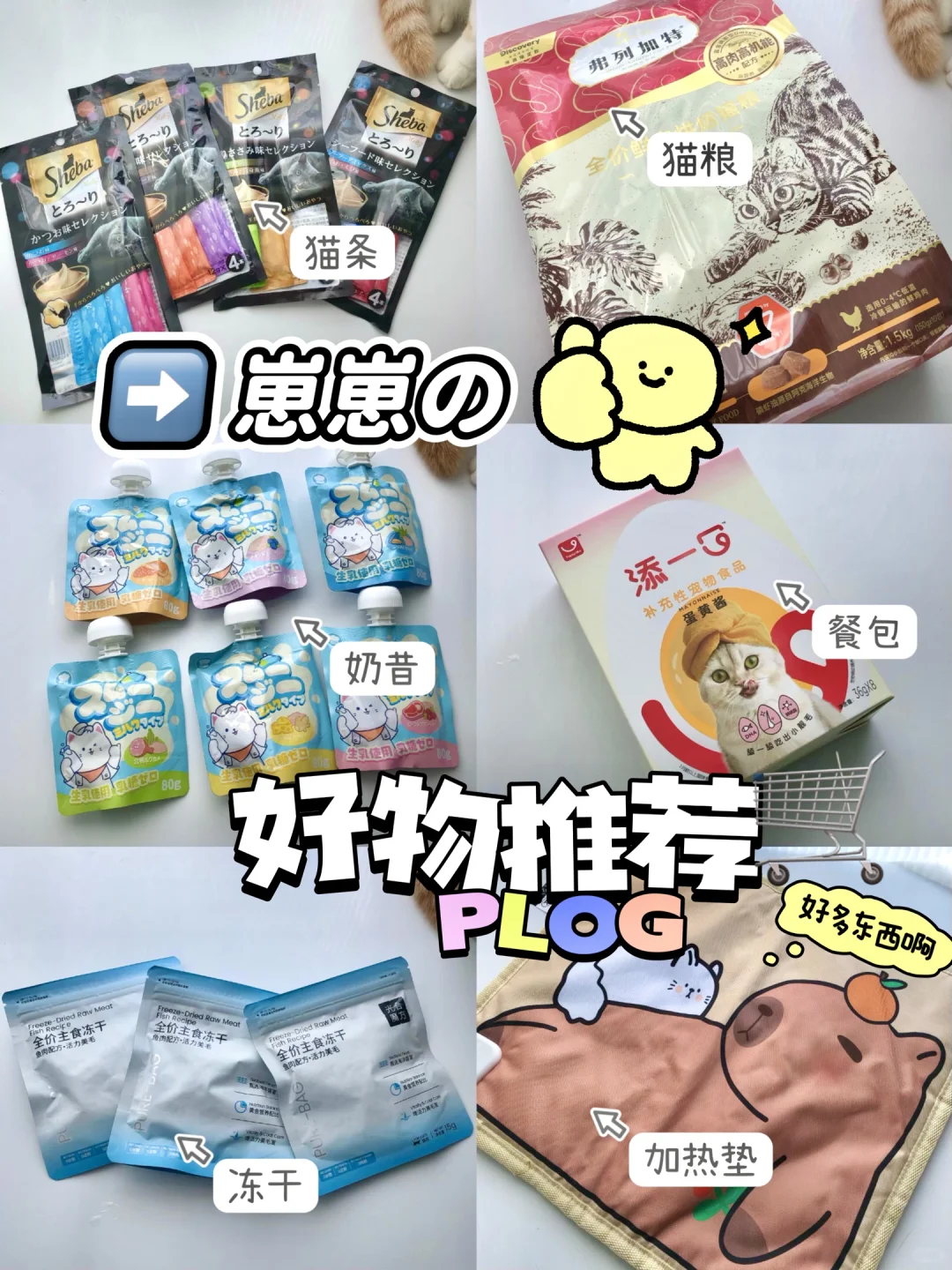 崽崽の好物推荐🛒双十一来临版）