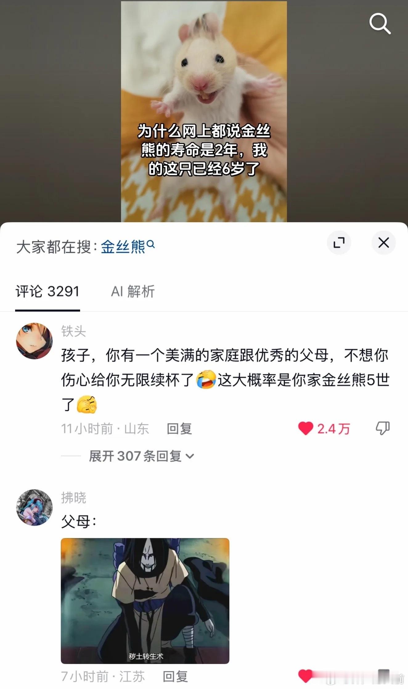 父母:复活吧我孩子的爱鼠 