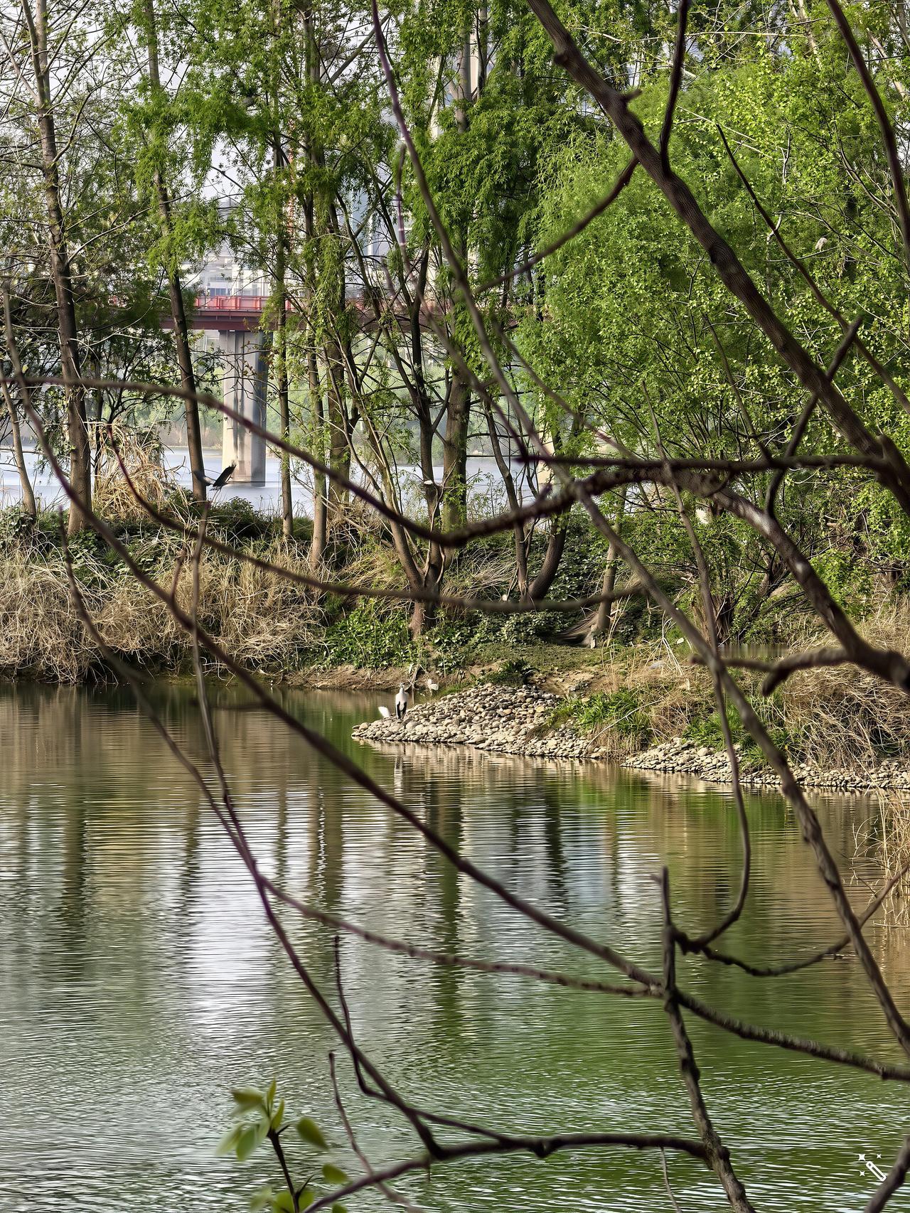 圣人采到天地之气以后，就成为了仙人。圣人刚刚成仙的时候，虽然知道自己已经成仙，但