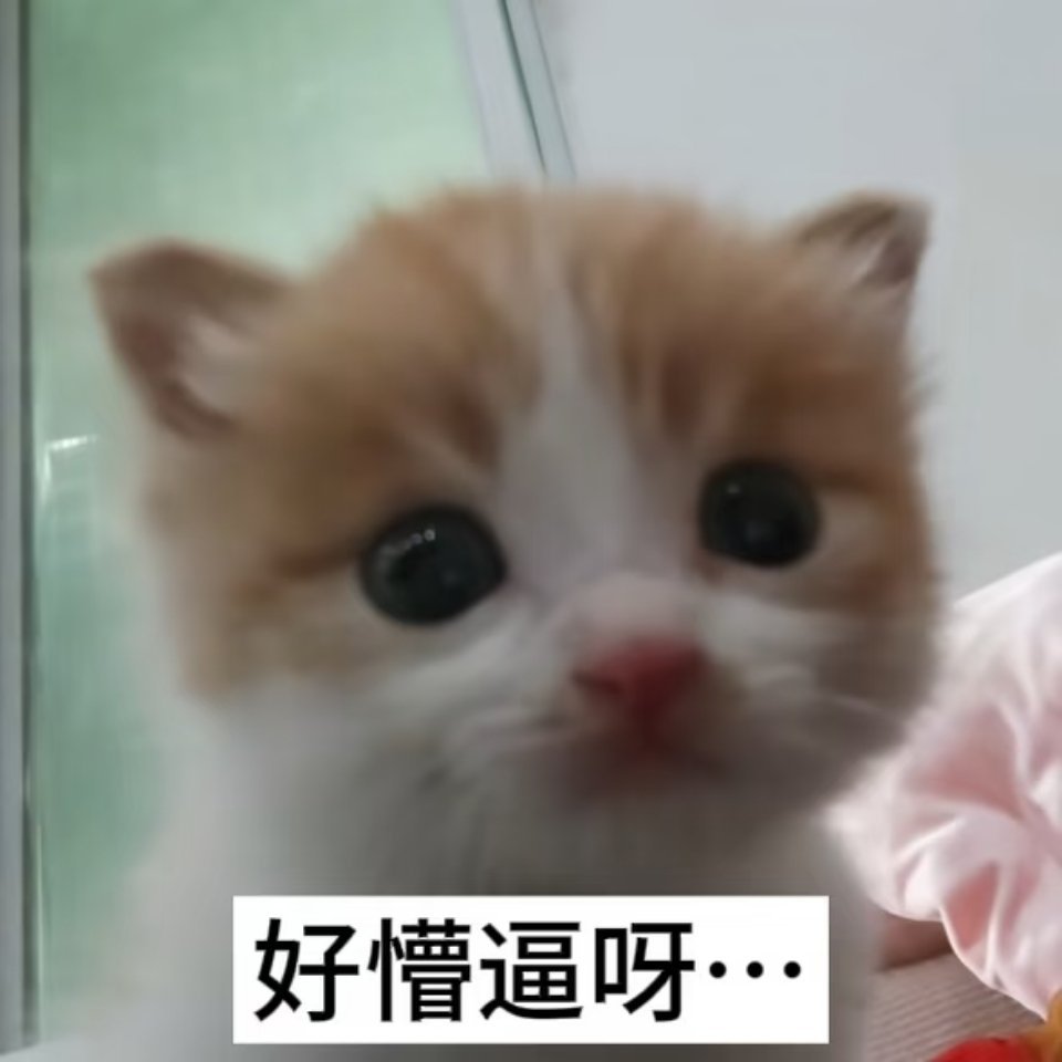立秋这些奶茶活动我怎么一个都领不到 