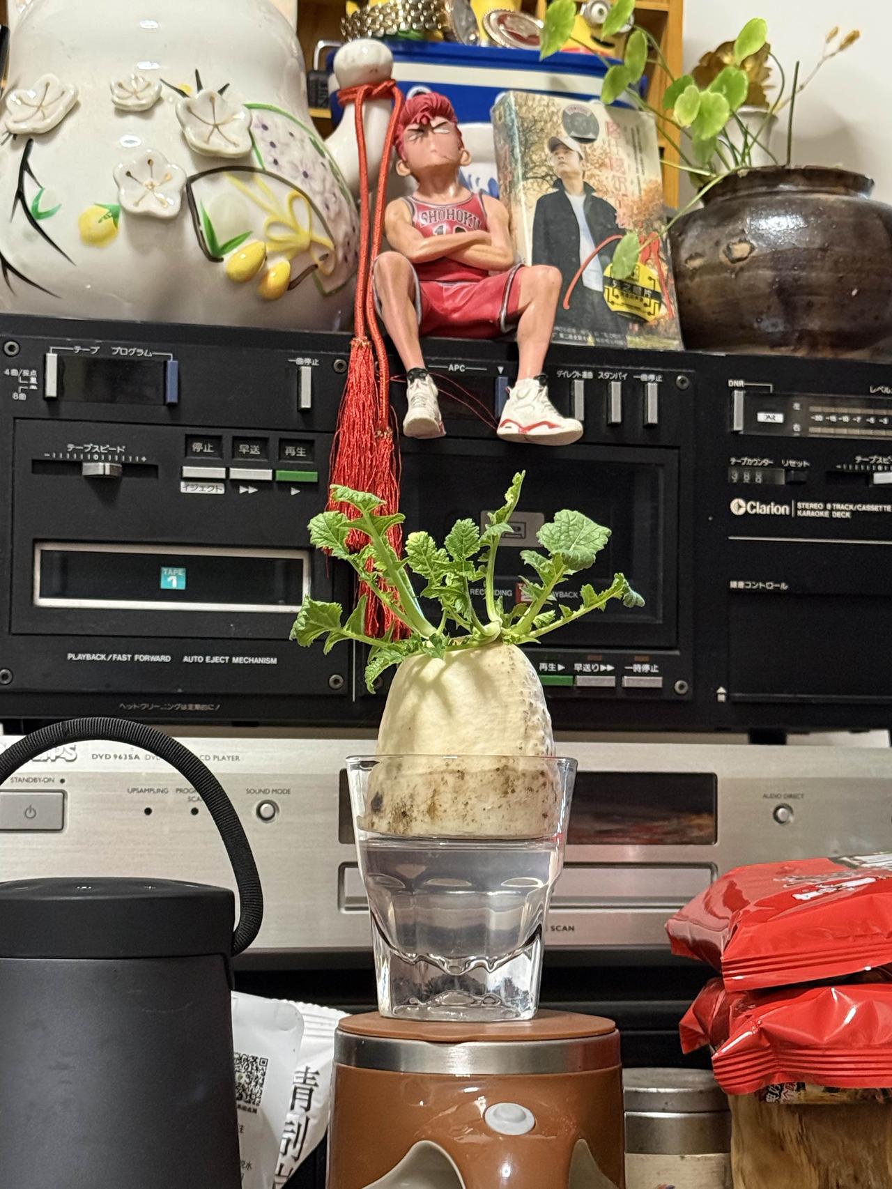 “革命尚未成功，同志仍需努力”，这句话就像高悬的明灯，时刻提醒我们奋斗永不止步。