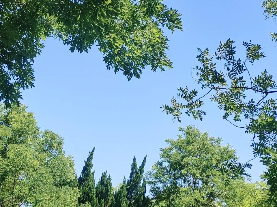 分享你的随手拍照片夏日新立河畔