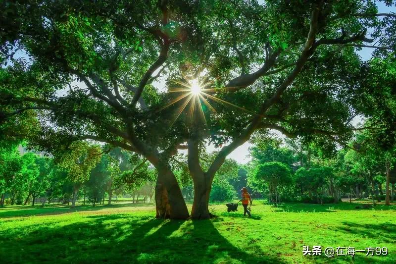 “勤劳不能致富”的论调在社会不断蔓延滋长，进而产生了一个不良后果，那就是产生养老