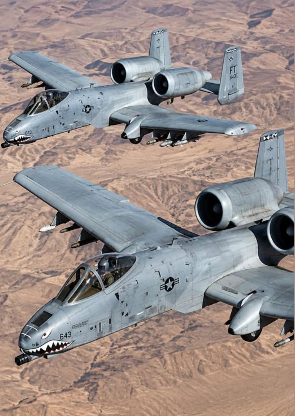 两架美军 A-10“雷电II”攻击机 编队飞越荒漠。这款绰号“犹猪”的传奇战机以