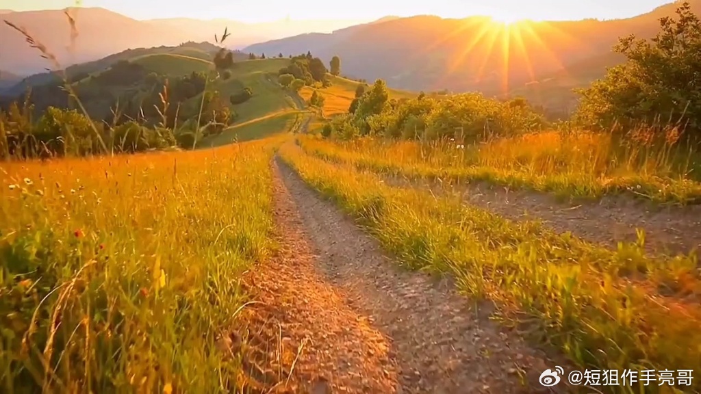 心有微光不惧庸常，稳步前行，生活日日皆新，家人们早安