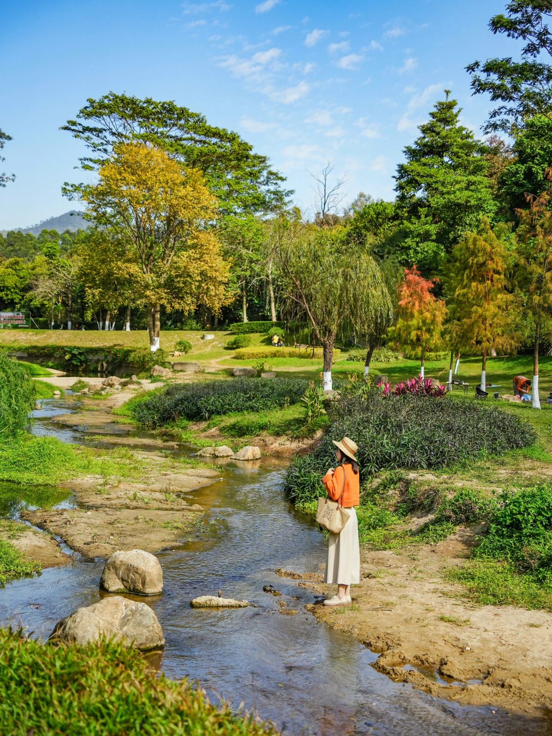 天河小众0元公园🌲大草坪沙滩落羽杉太美了