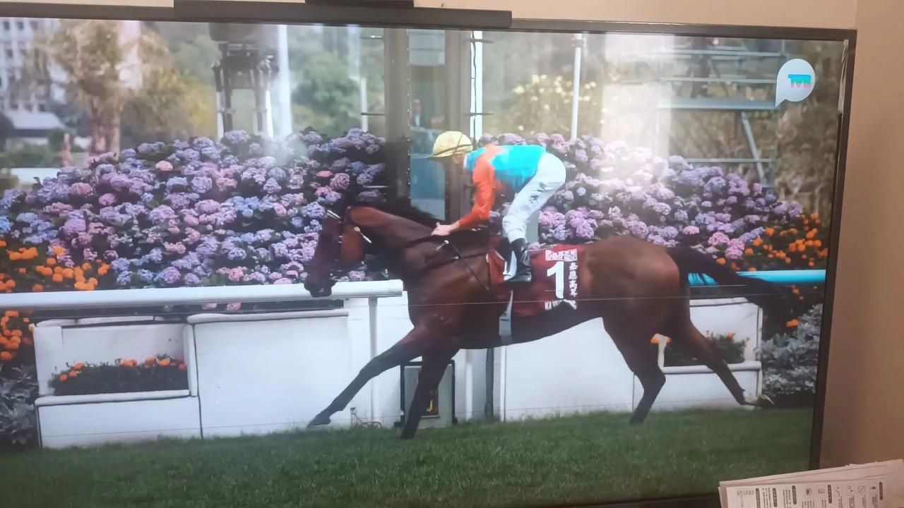 今午沙田马场，全球评分最高的嘉应高升再次以不费吹灰之力完胜外敌，一而再再而三刷新