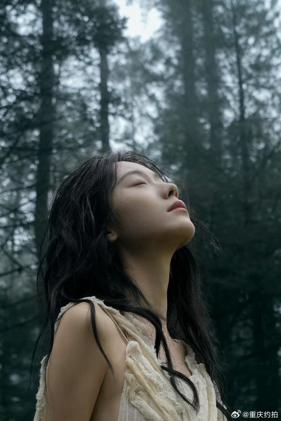 树的脉络摄影：