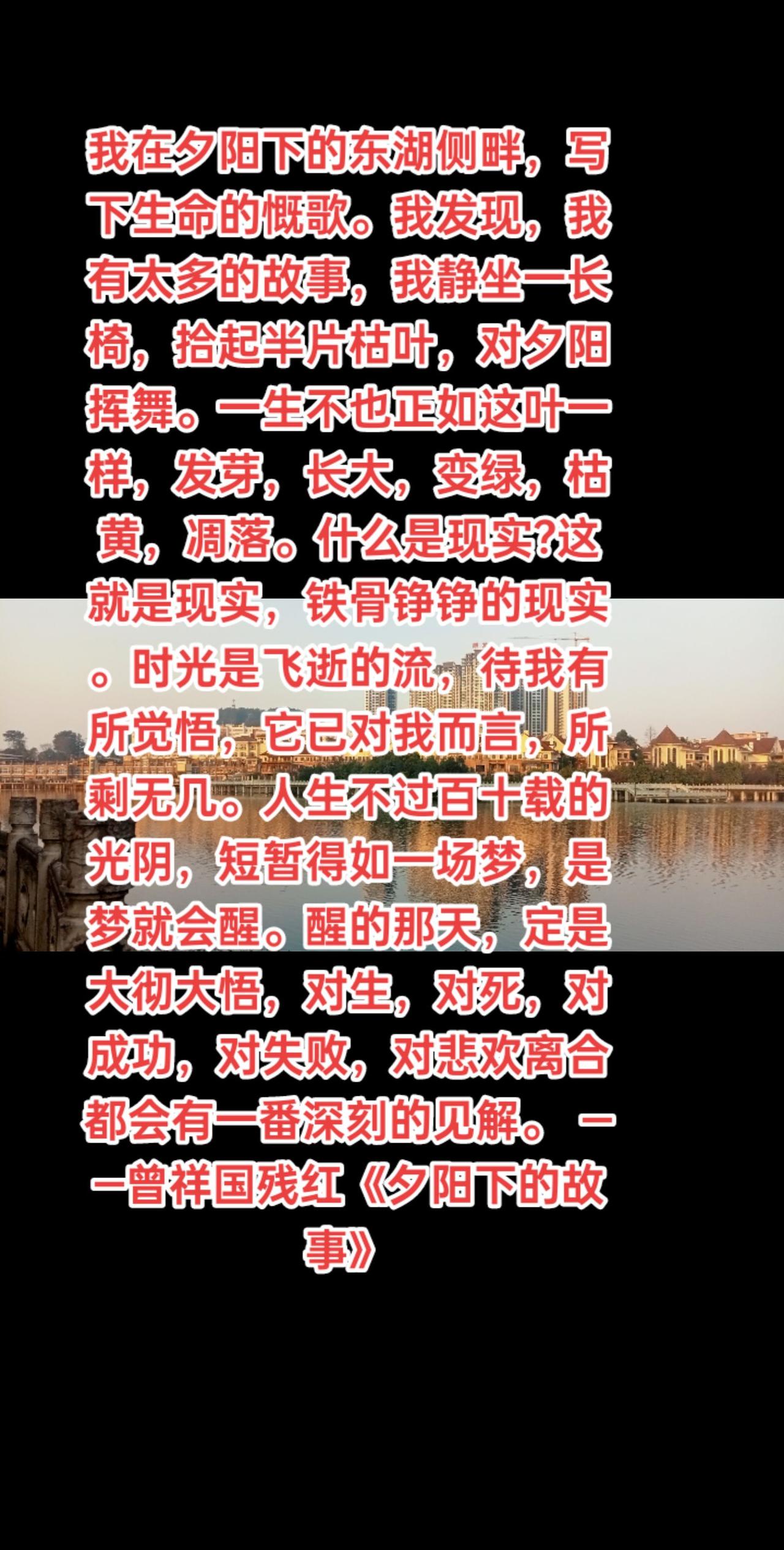 我在夕阳下的东湖侧畔，写下生命的慨歌。我发现，我有太多的故事，我静坐一长椅，拾起